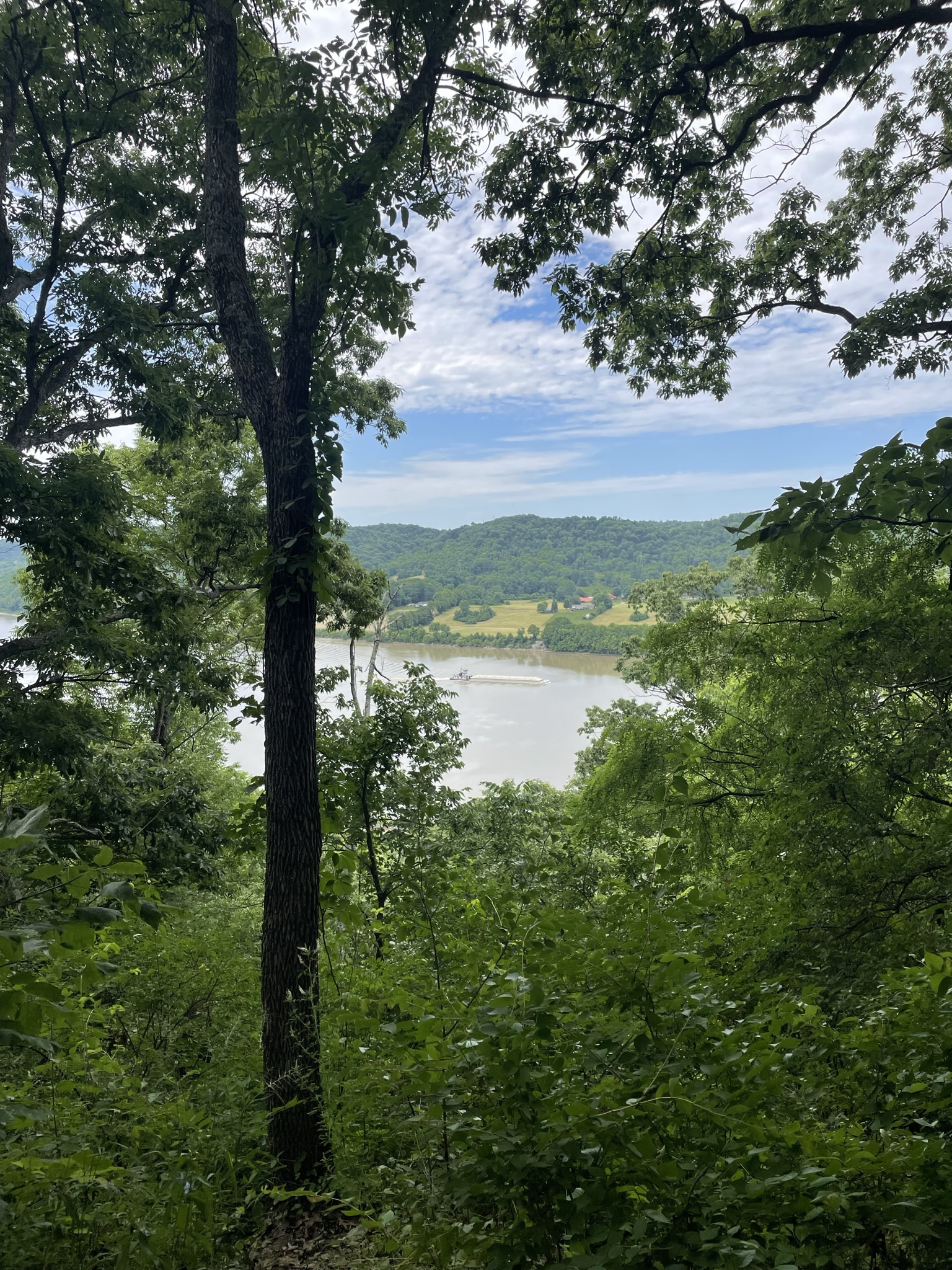 Choosing the Name: Rivers of Learning